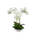 Biela umelá orchidea v kvetináči Real Touch 35cm