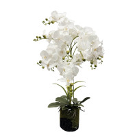 Biela umelá orchidea v kvetináči Real Touch 90cm